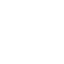 SACSSGS Logo.png